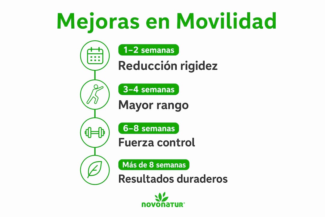 Guía visual con recomendaciones para mejorar la movilidad de tus articulaciones