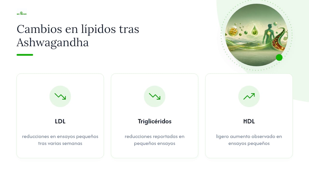 Diagrama que muestra los cambios en el nivel de colesterol con ashwagandha