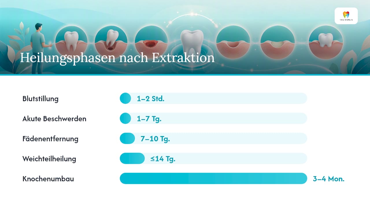 Verlauf der Heilung nach einer Zahnextraktion: Wann passiert was?