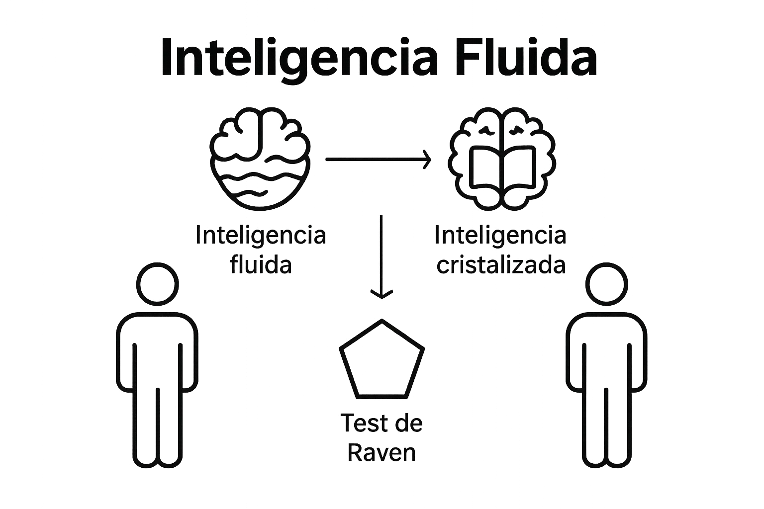 infografía comparando inteligencia fluida, cristalizada y test raven