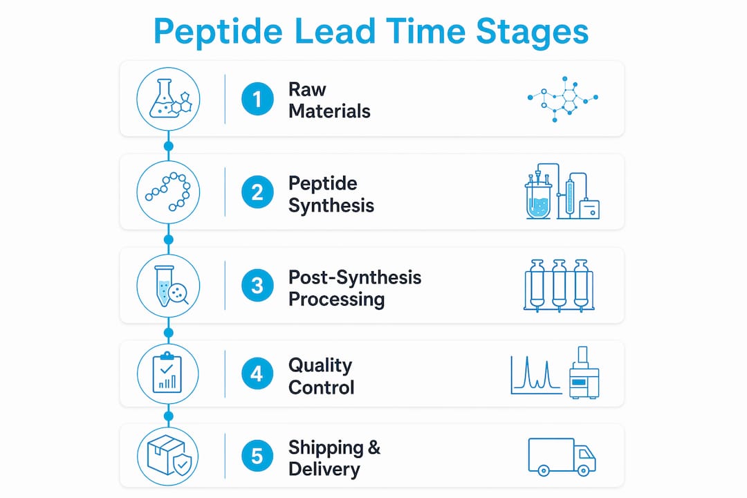 Infographic illustrating peptide supplier lead time stages