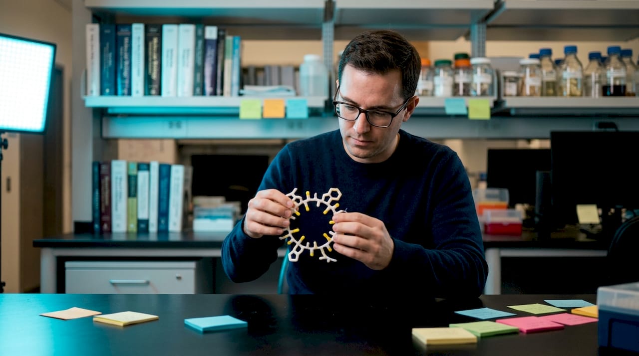 Focused scientist examining cyclic peptide model