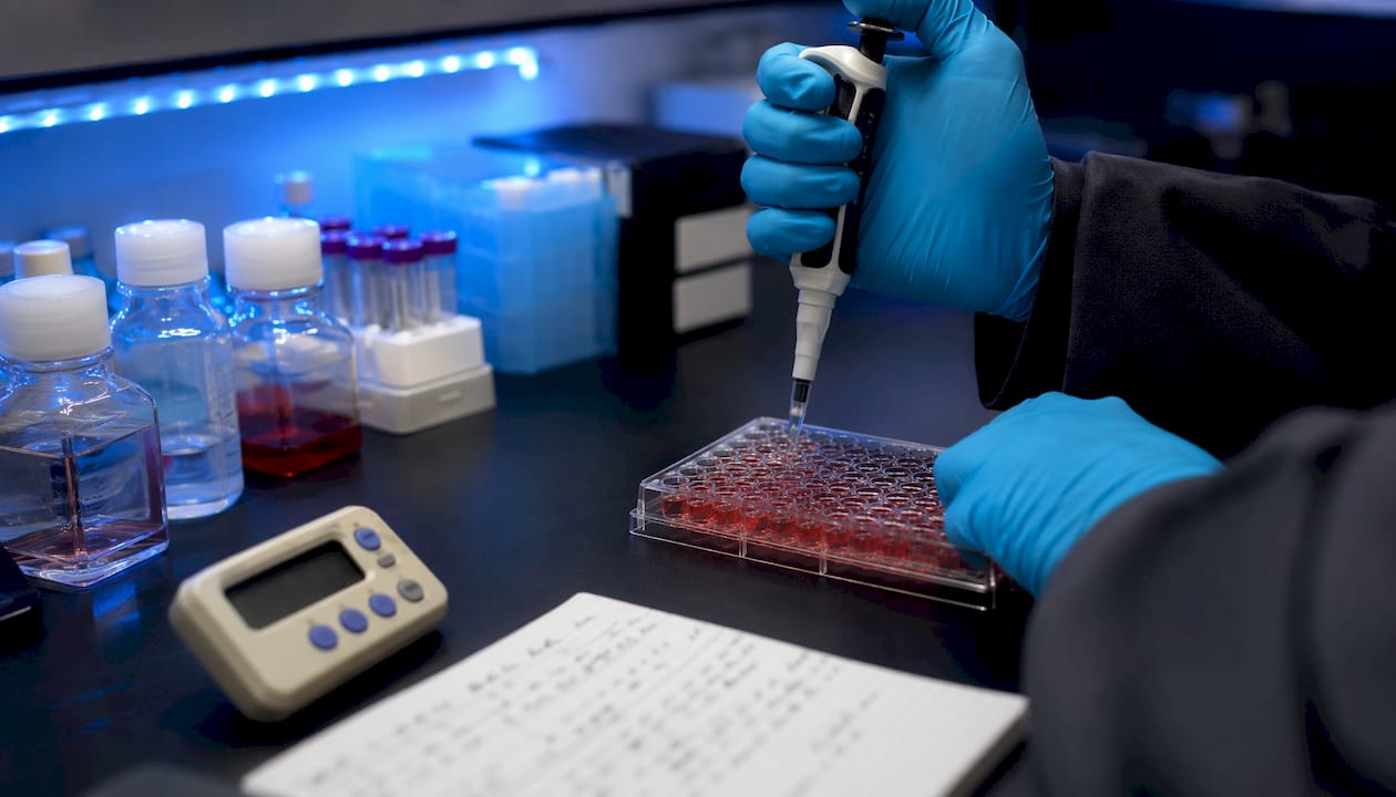 Close-up of hemolysis assay in vitro testing