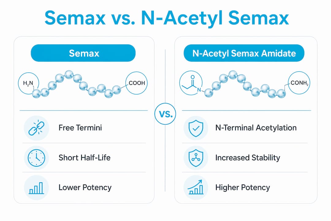 Infographic comparing Semax and N-Acetyl Semax Amidate
