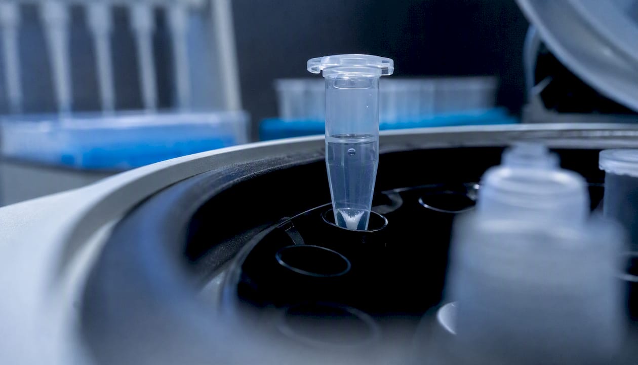 Centrifuge tube with peptide pellet after spin