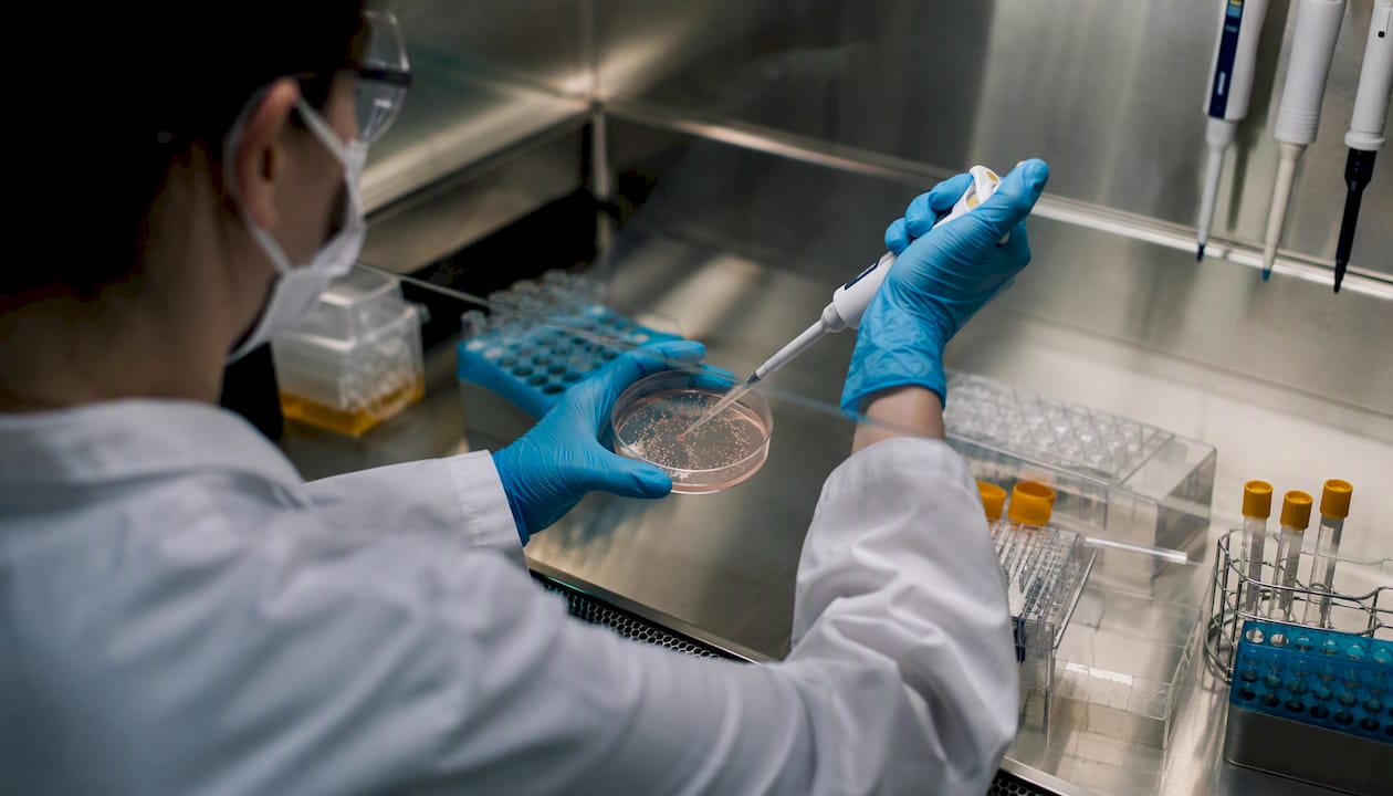 Hands testing cell culture for contamination