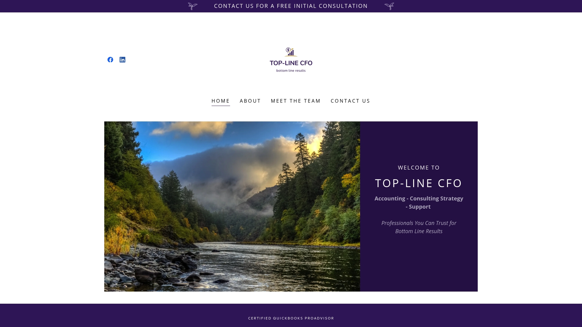 https://toplinecfo.com
