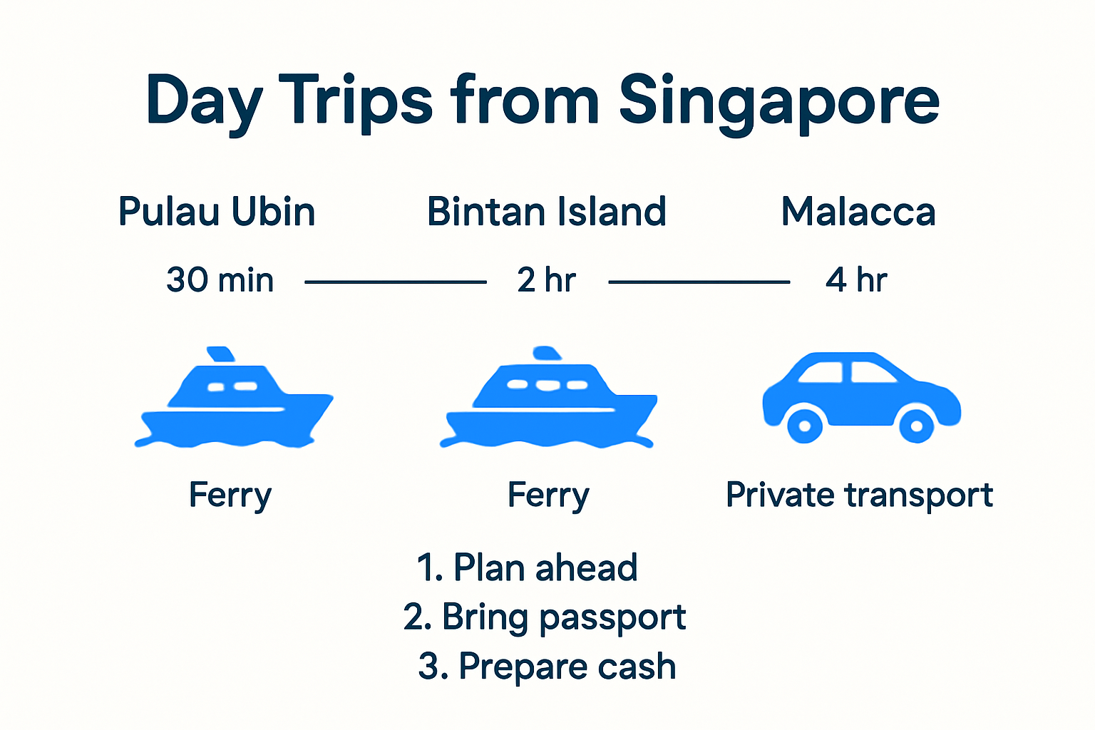 Infographic comparing day trip transportation options from Singapore
