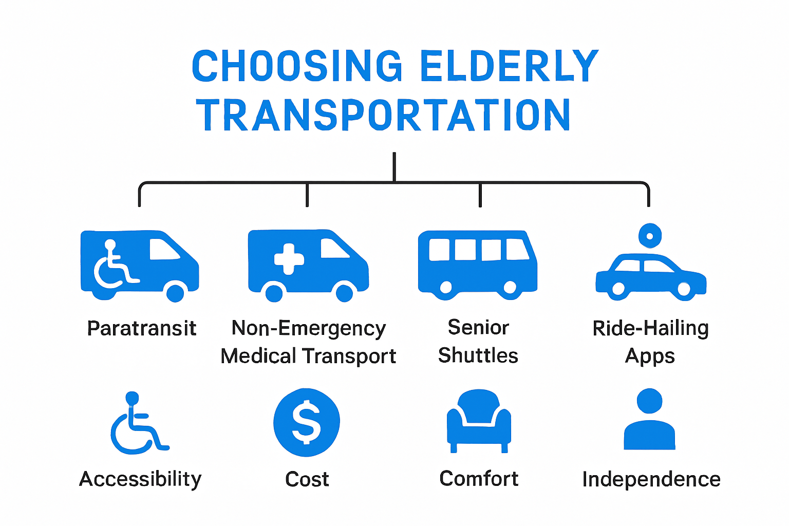 Infographic comparing senior transportation services and features