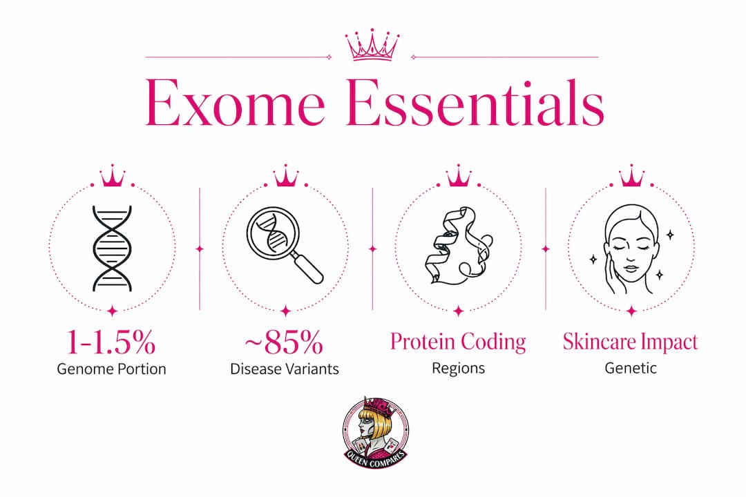 Infographic showing key facts about exomes and skincare genetics