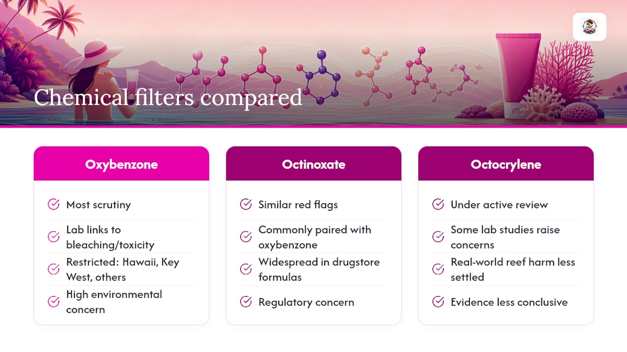 The Chemical Filters Under the Microscope — overview diagram