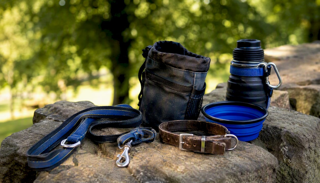 Dog walking gear on park bench