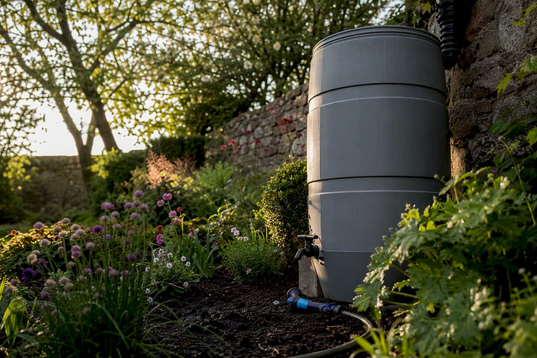 Irish garden water butt setup for watering