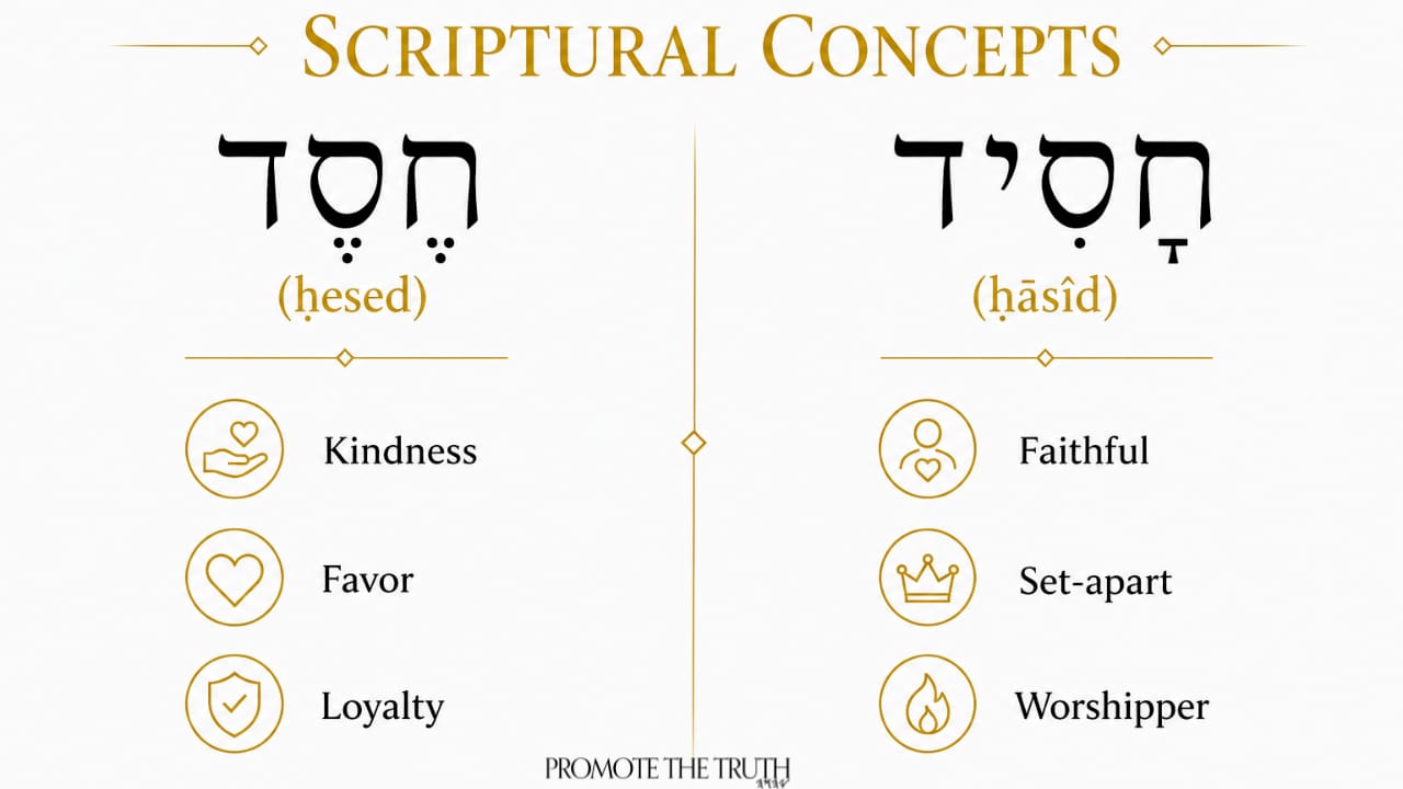 Infographic comparing ḥesed and ḥāsîd biblical terms