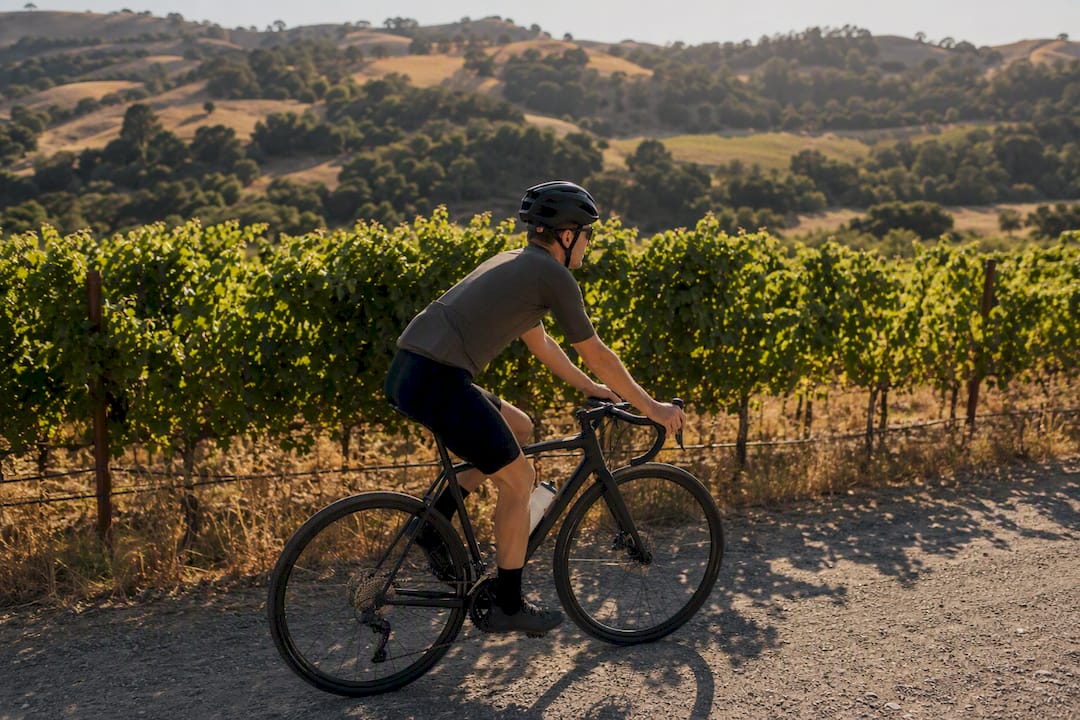 Cyclist riding through vineyard landscape