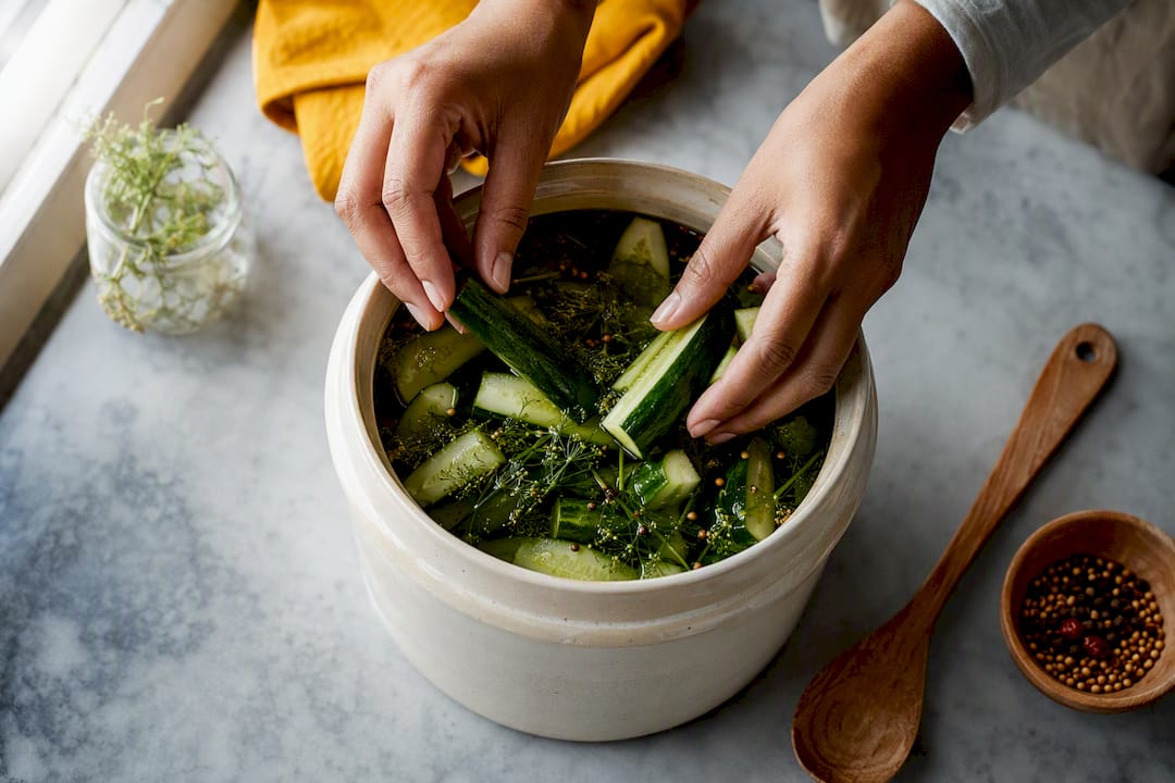 Cucumbers submerged in a fermentation crock