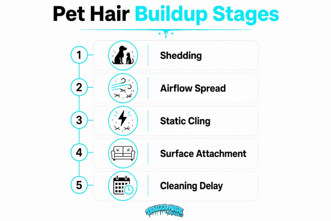 Infographic illustrating pet hair buildup stages