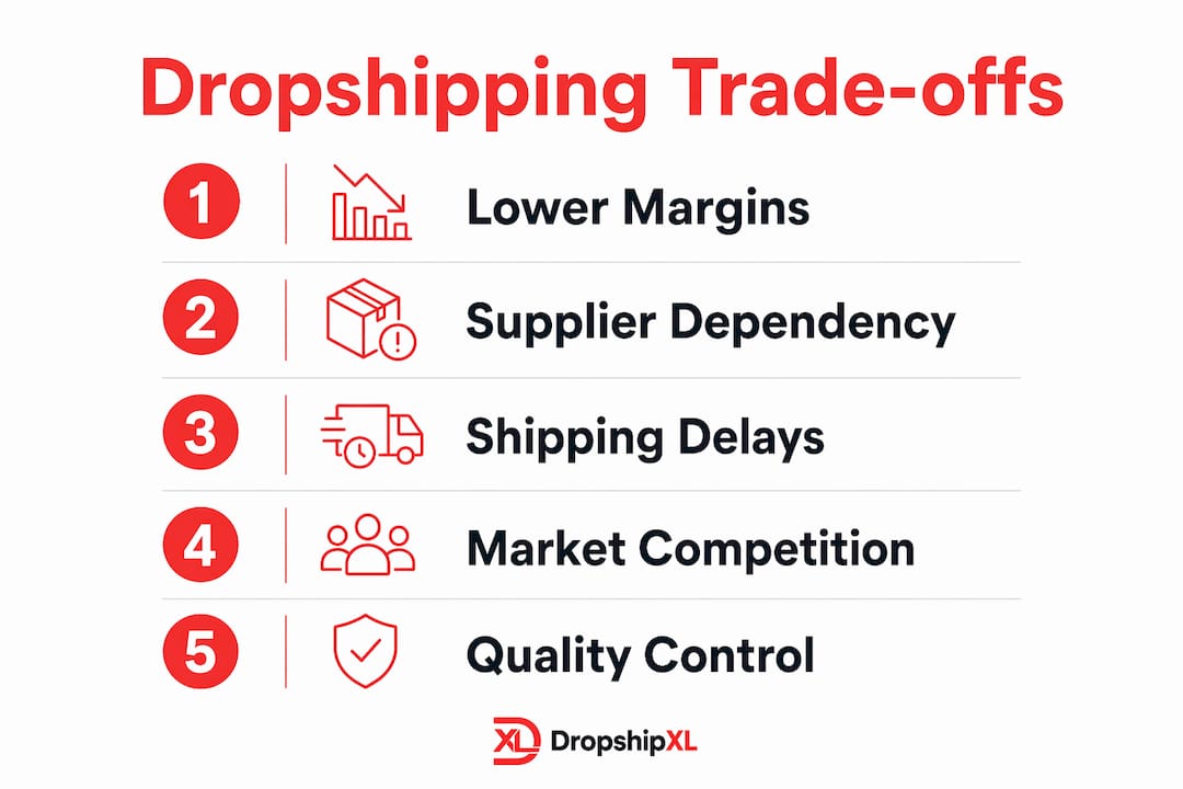 Infographic showing dropshipping challenges for beginners