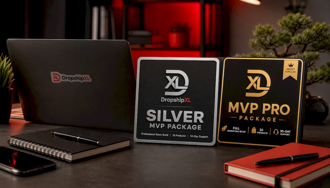 Silver MVP Dropship Store Design Package