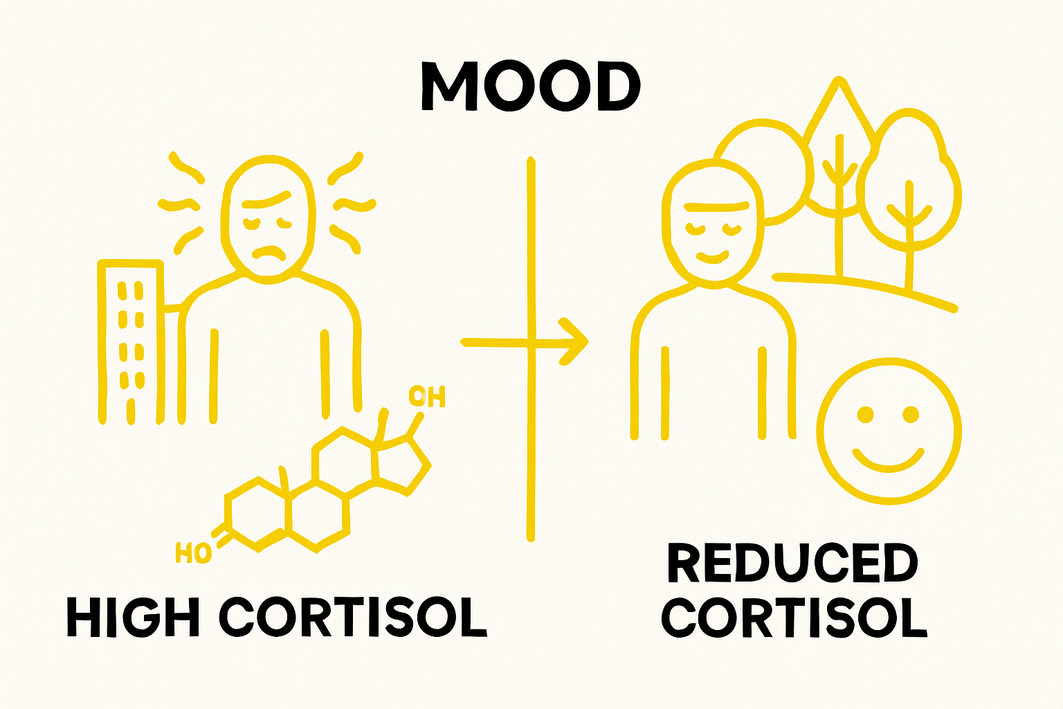 Infographic comparing stress responses in urban vs. natural environments