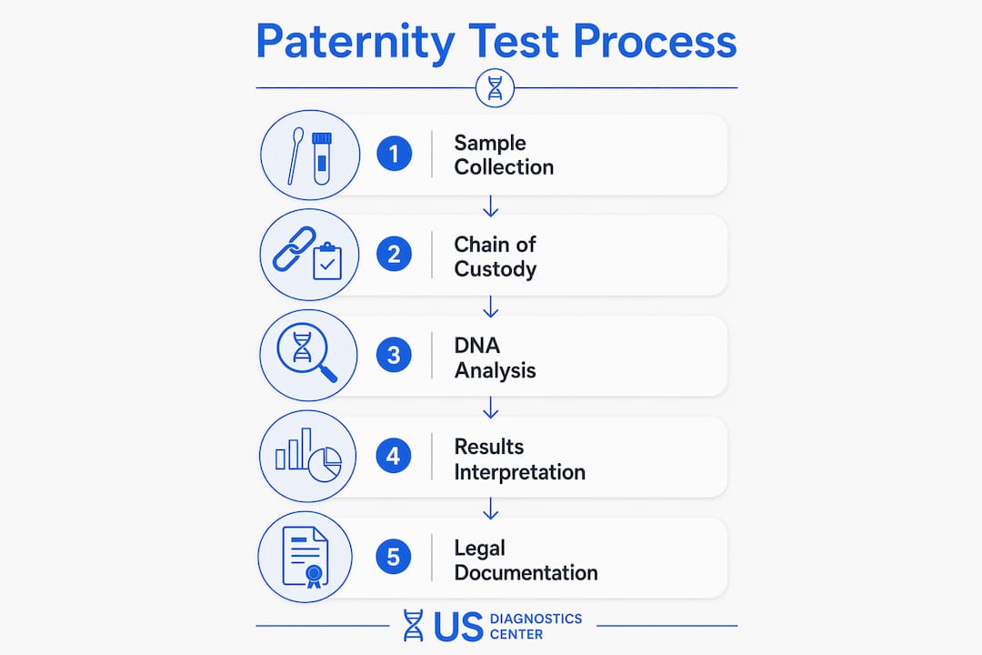 Infographic outlining paternity test legal process steps