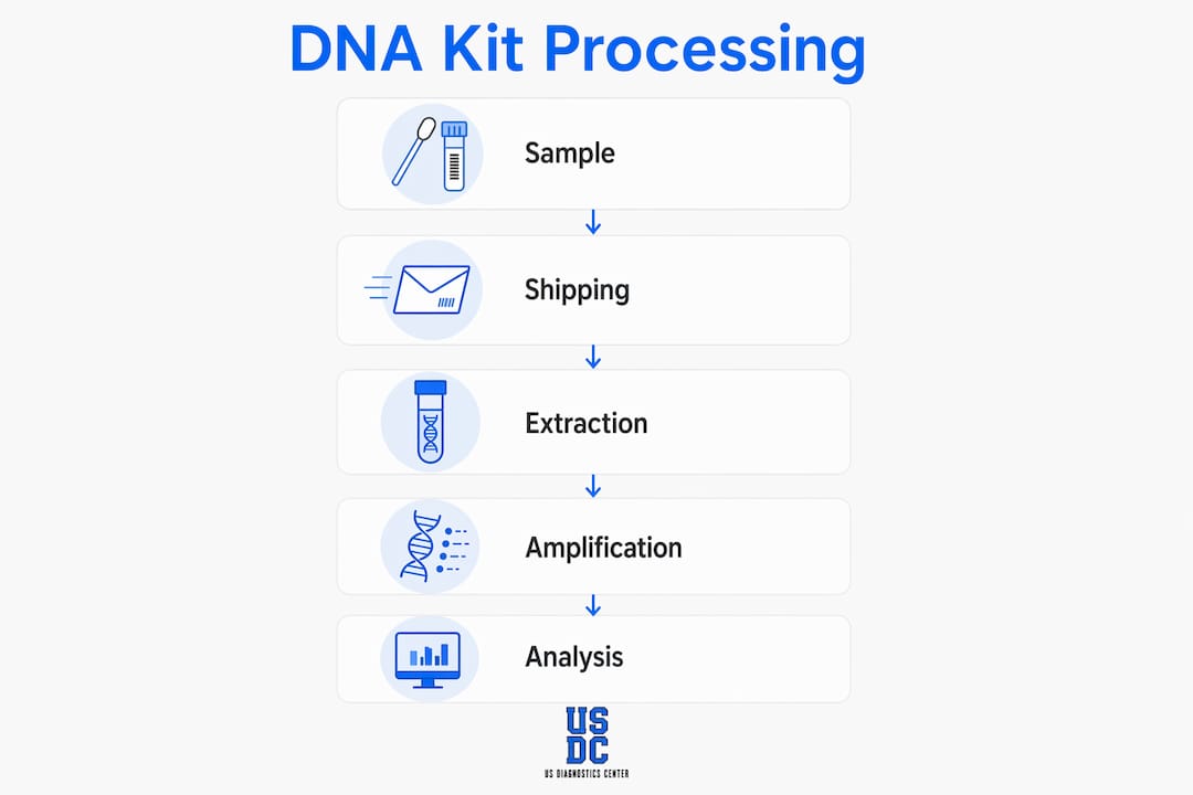 Infographic showing home DNA testing process steps