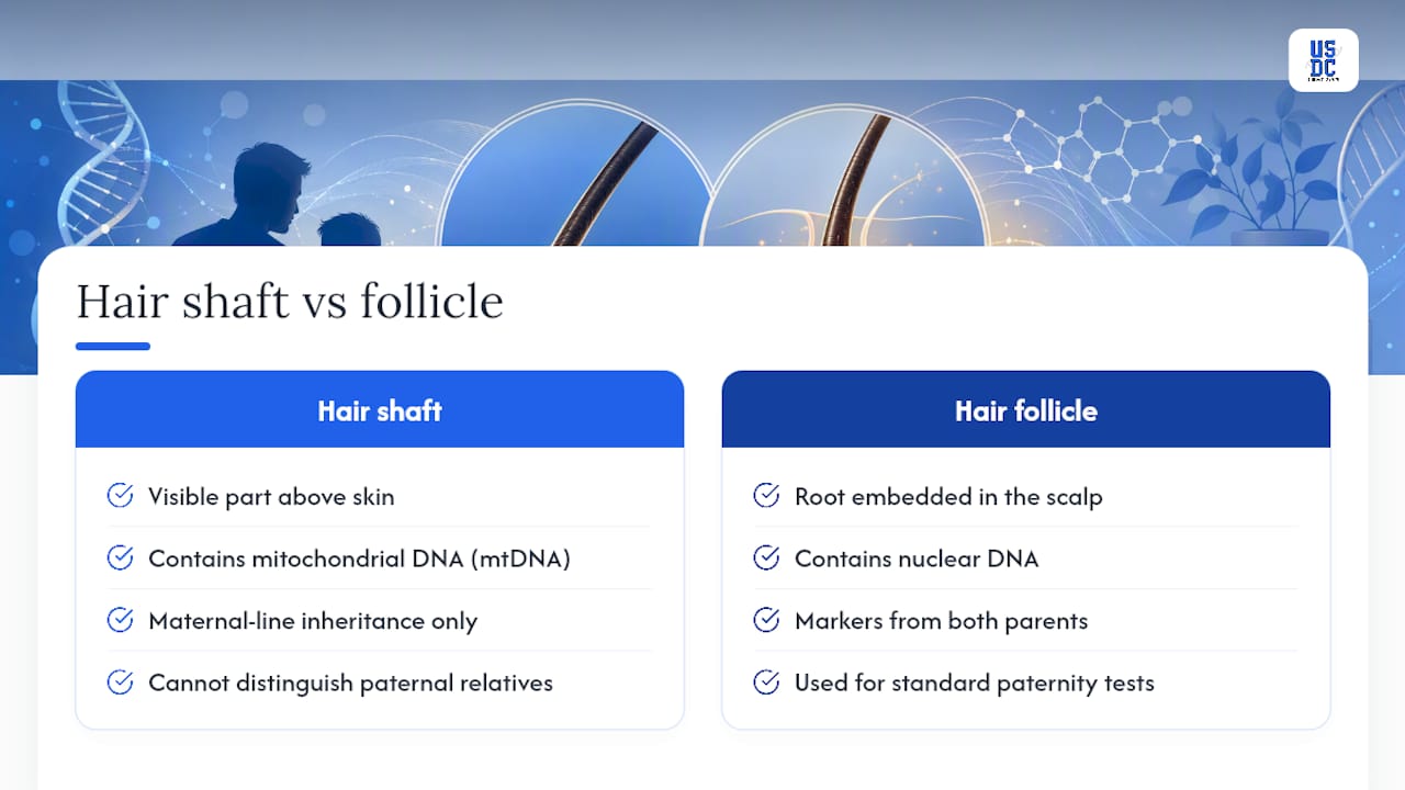 Hair shaft and root DNA comparison