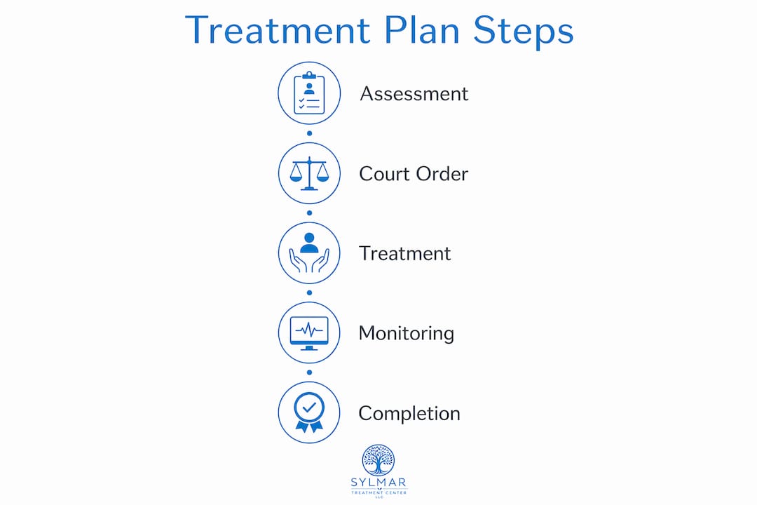 Infographic showing key steps of probation-linked treatment plan