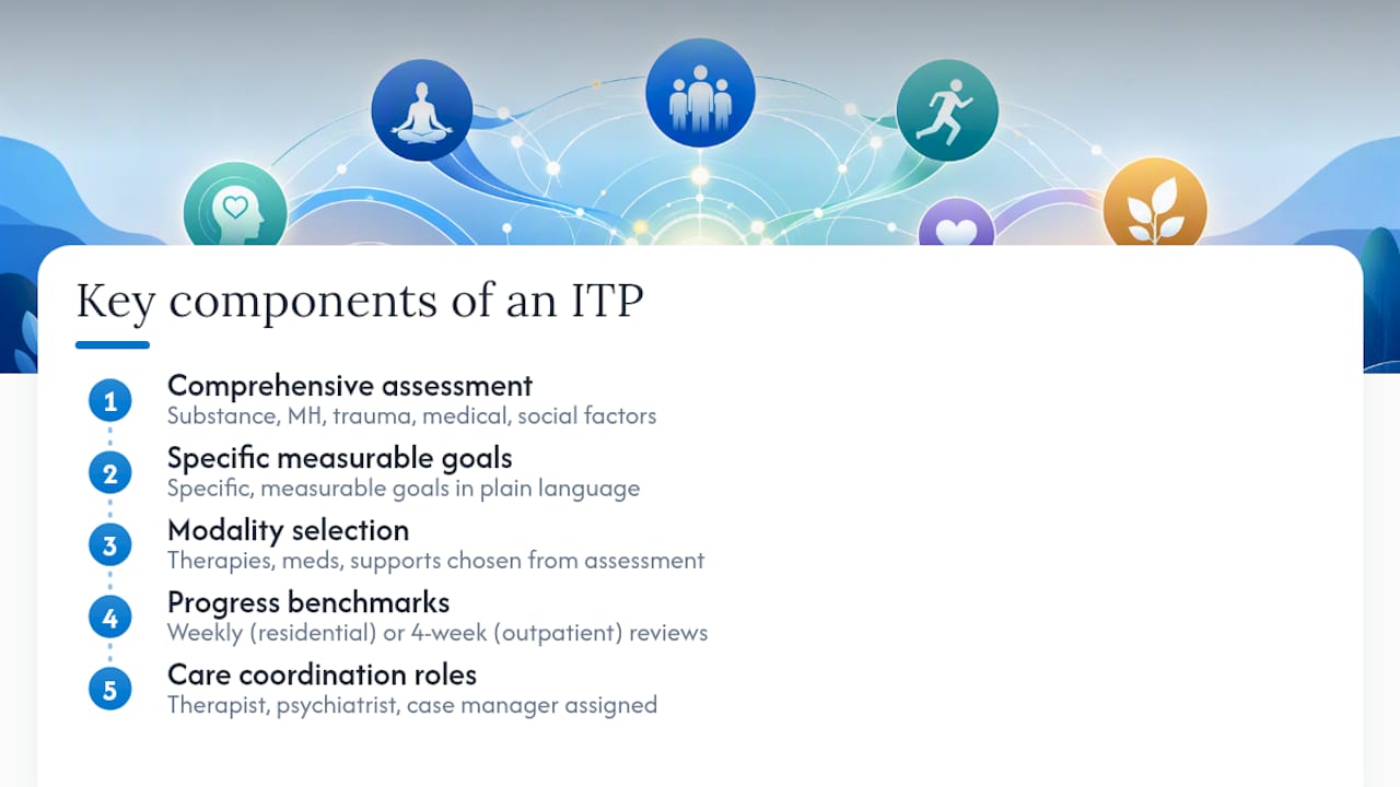 Diagram of individualized treatment plan components