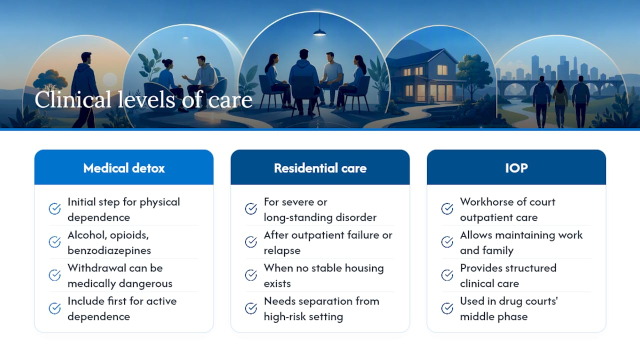Diagram comparing clinical levels of court-ordered care