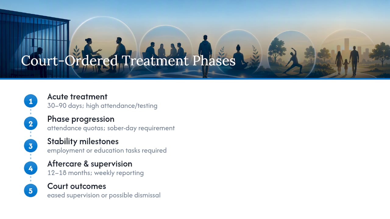 Court ordered treatment phases and requirements