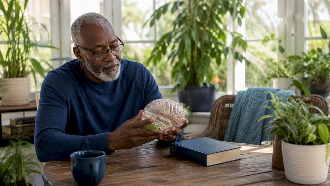 Hands holding brain model depicting brain repair