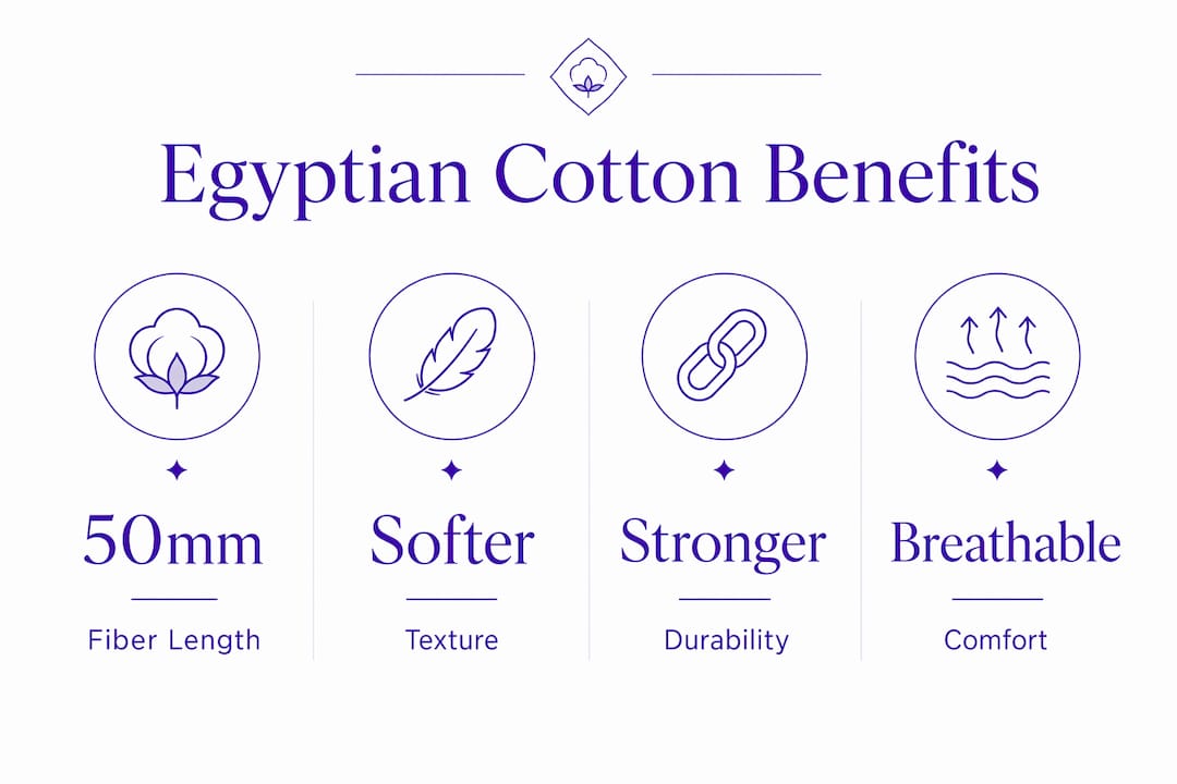 Infographic highlighting Egyptian cotton benefits