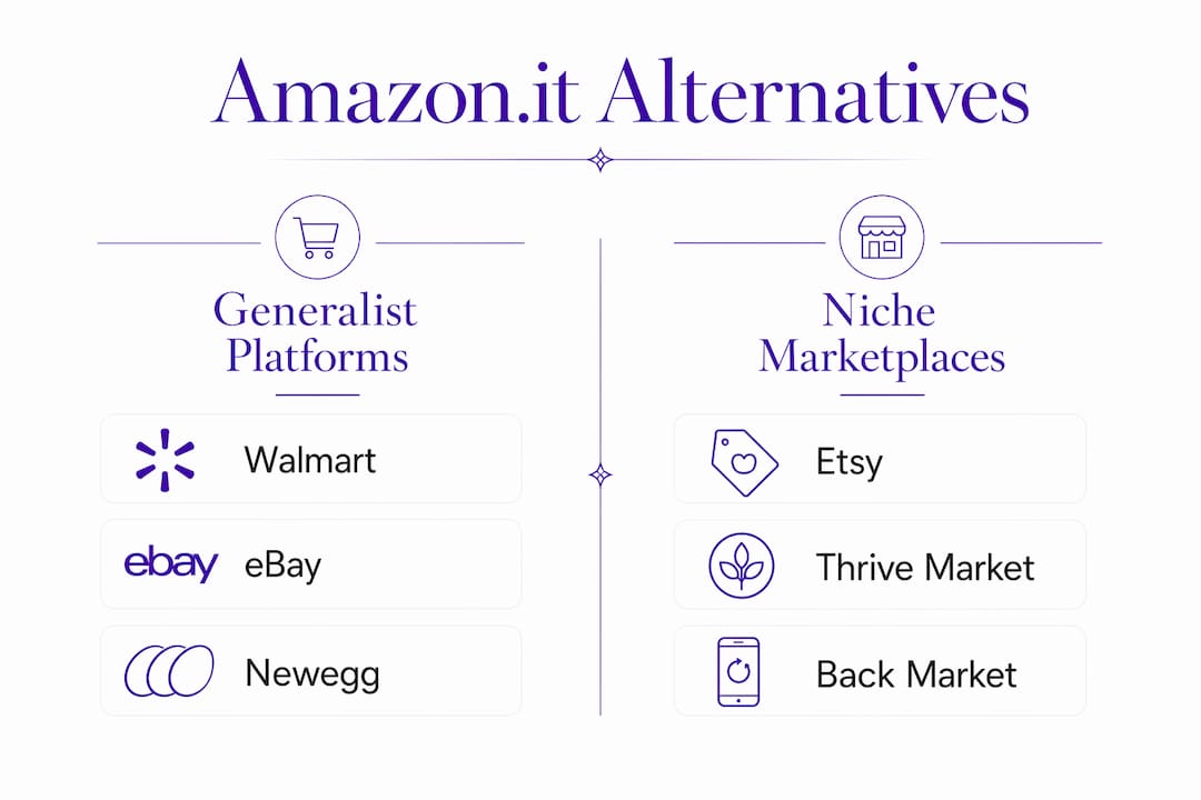 Infographic showing Amazon.it alternatives categories