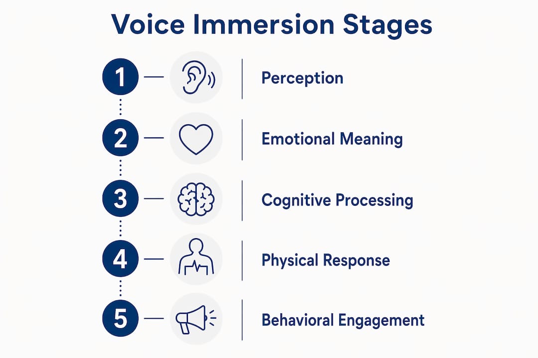 Infographic illustrating voice immersion stages