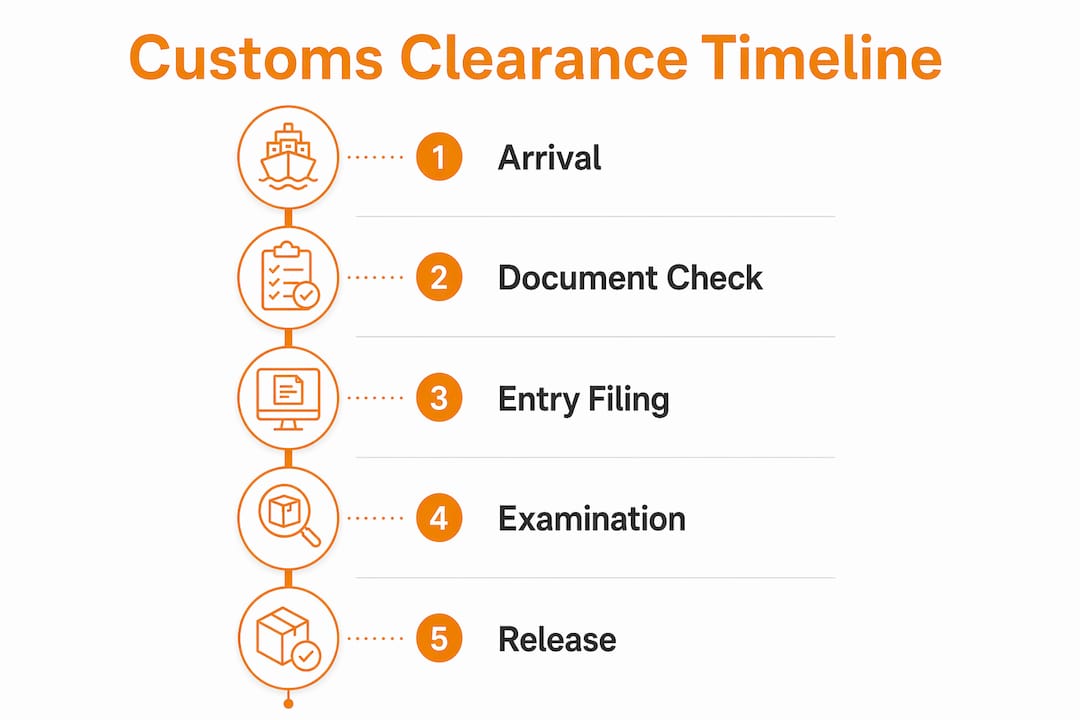 Infographic illustrating customs clearance timeline steps