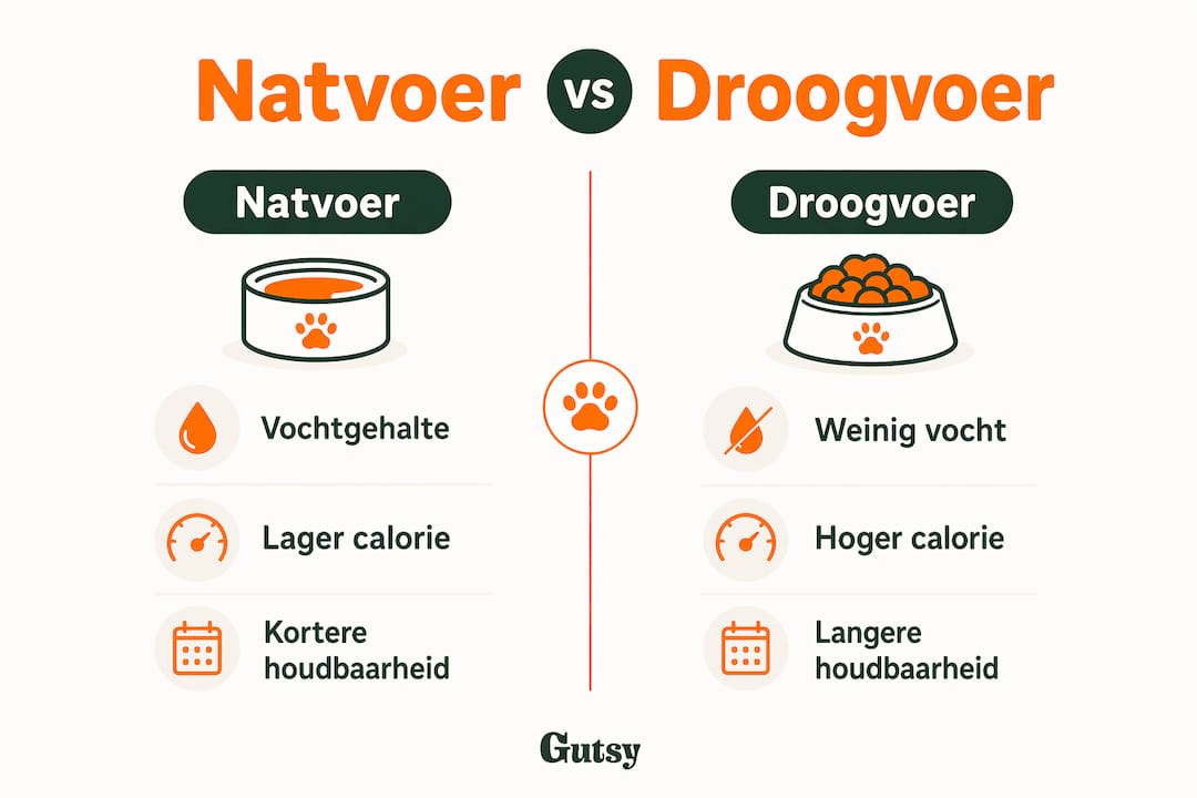 Overzicht: natvoer versus droogvoer – de belangrijkste verschillen op een rij