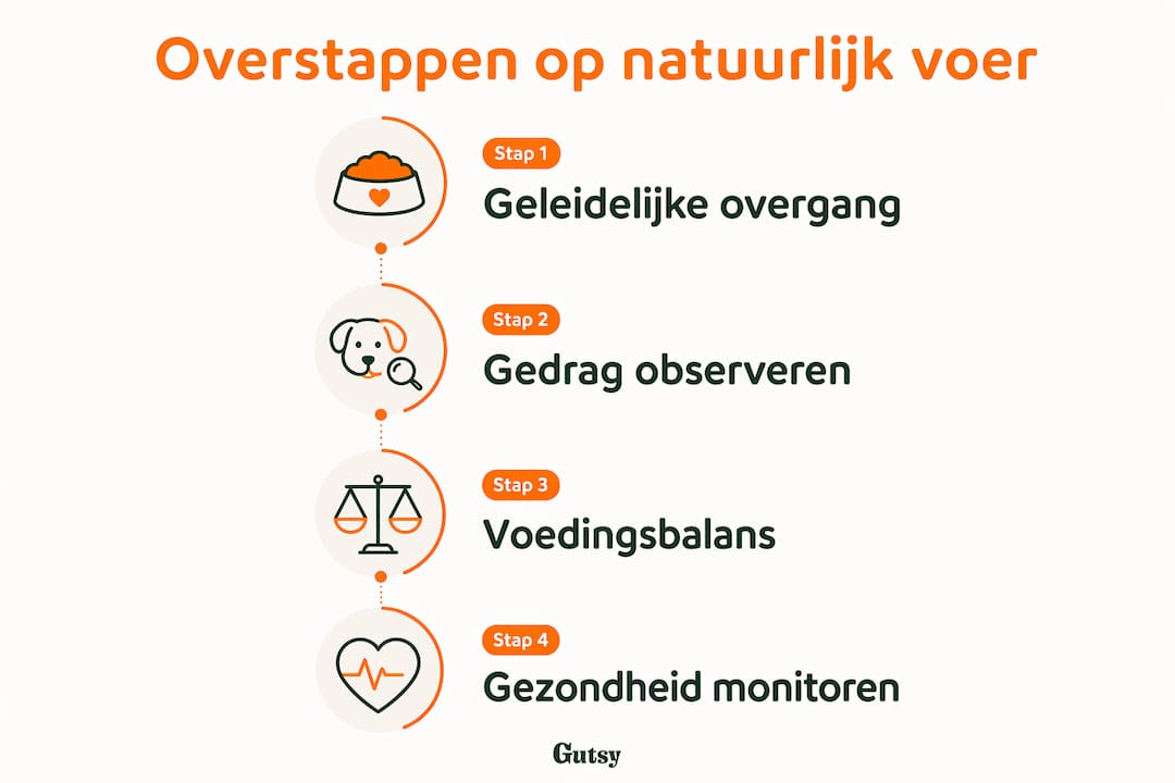 Infographic: zo stap je veilig over op natuurlijk hondenvoer