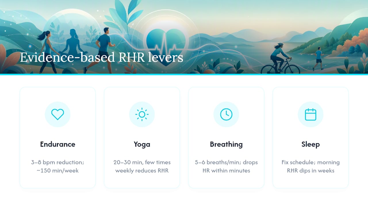 Evidence-based ways to lower resting heart rate