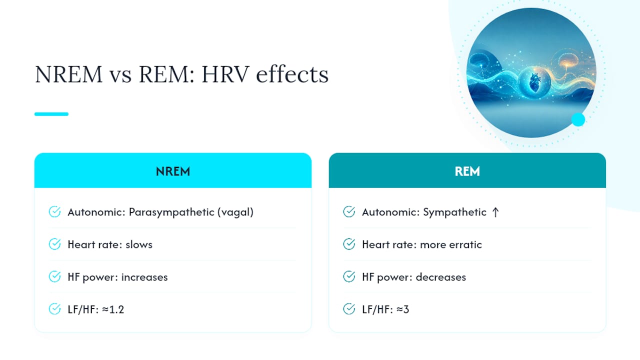 Physiology: how NREM and REM change autonomic control and HRV — overview diagram
