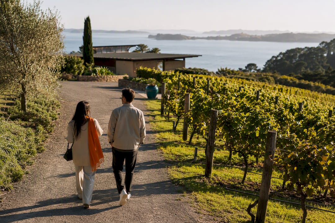 Visitors arriving at a quiet Waiheke vineyard