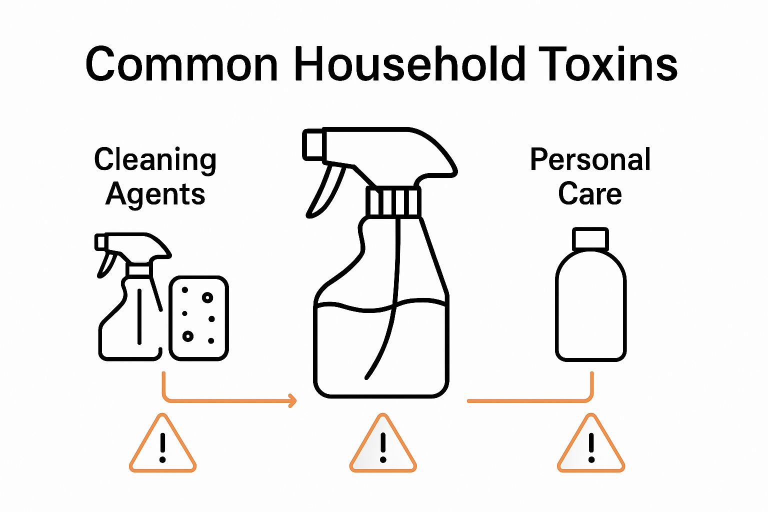 Infographic showing three main common household toxin categories