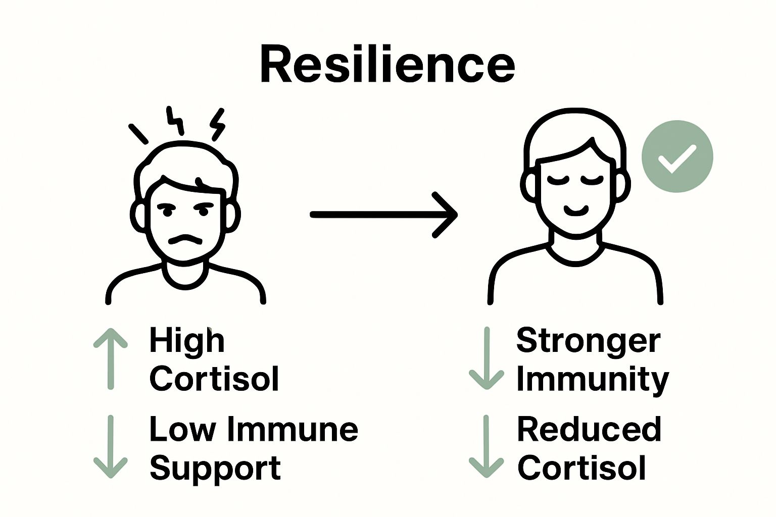 Resilience reduces stress and boosts immunity infographic