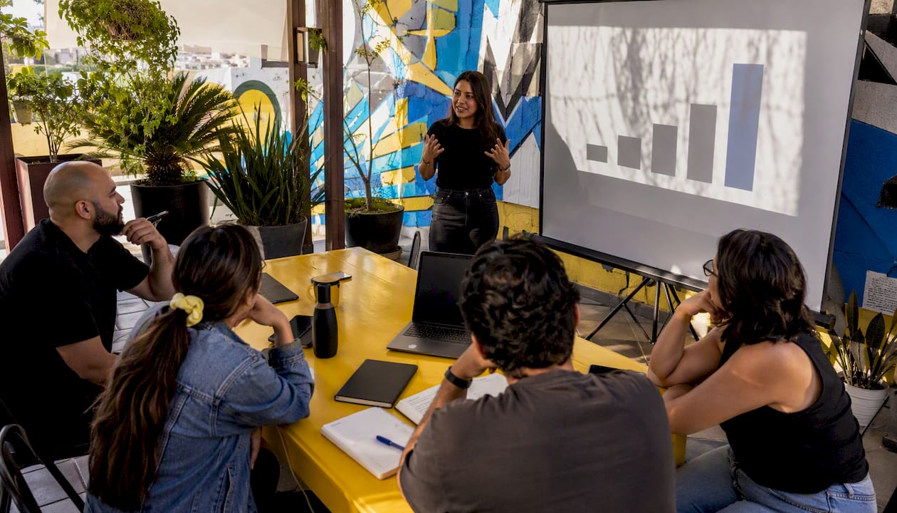 Marketing manager presenting ROI results in meeting