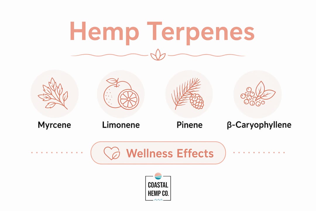 Infographic showing key hemp terpenes and effects