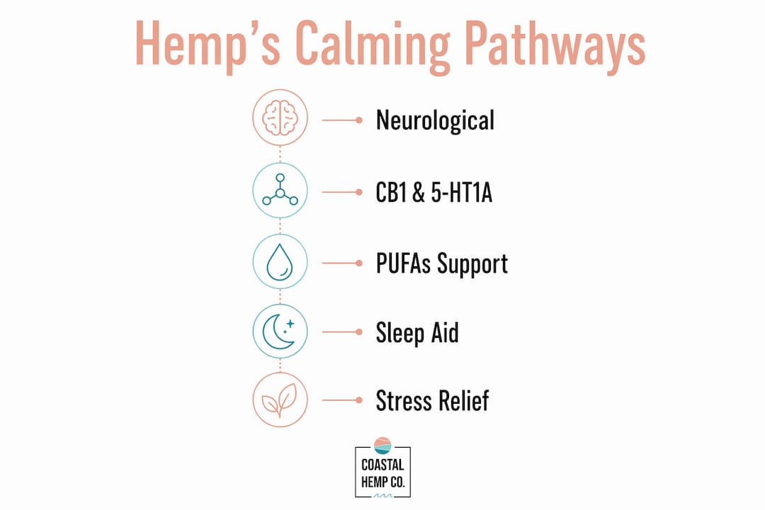Infographic illustrating hemp calming pathways and effects