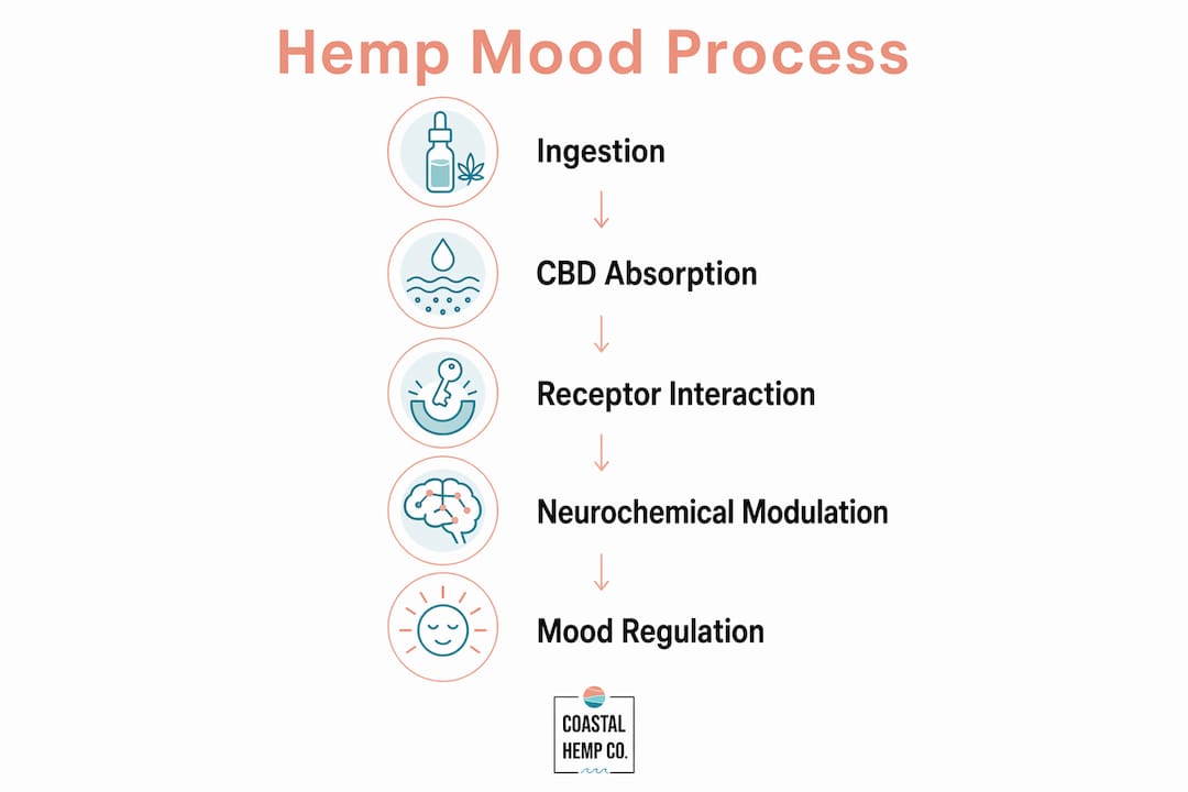Infographic illustrating hemp mood regulation steps