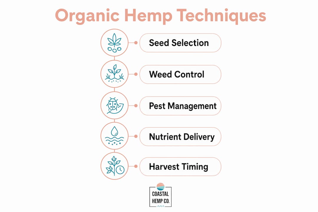 Infographic of organic hemp farming techniques steps