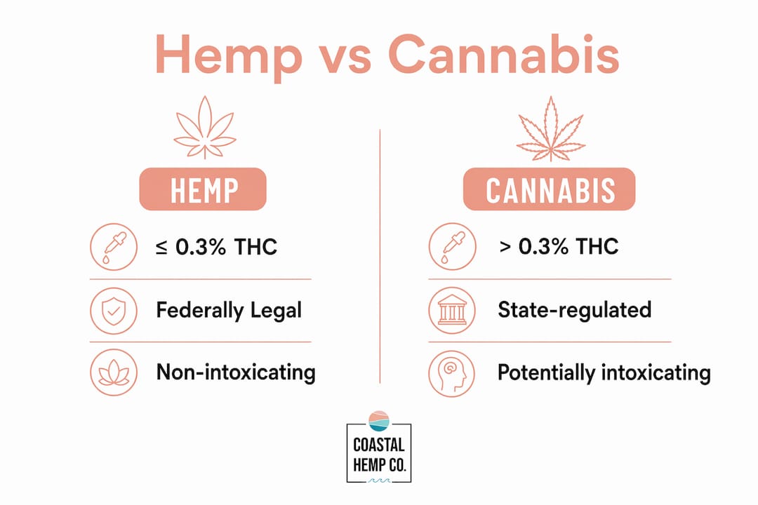 Infographic comparing hemp and cannabis legal and product differences