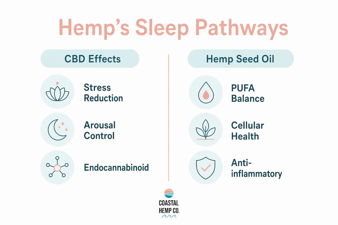 Infographic showing hemp compounds sleep pathways